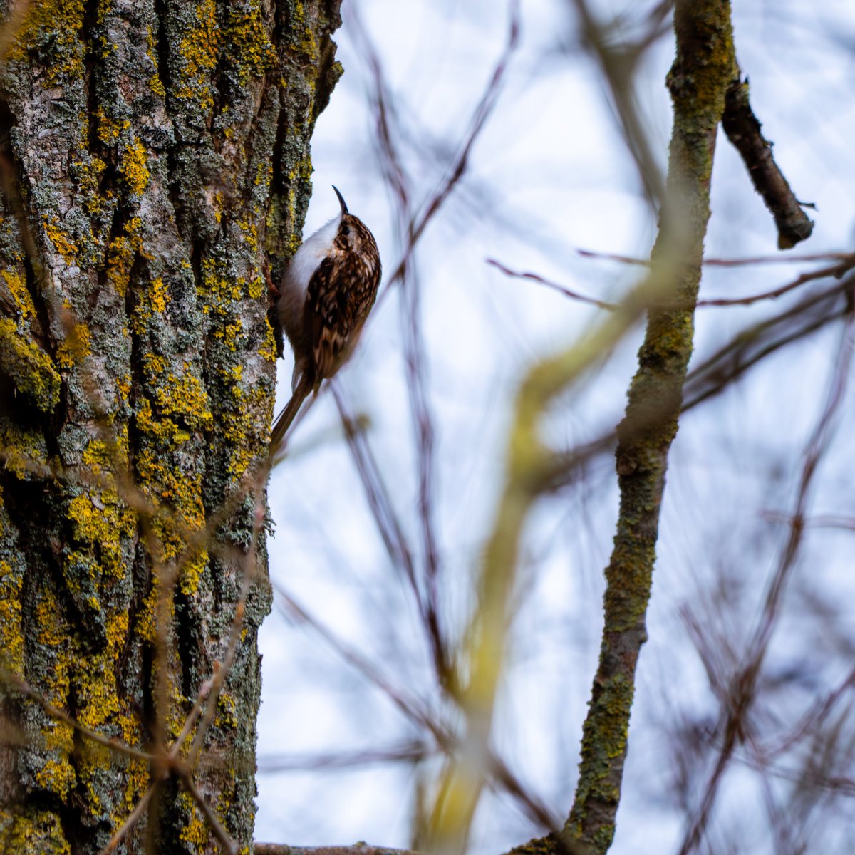 Matthew Sutton 🎥📷 tweet media