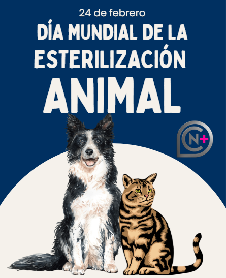NoticiaCongreso's tweet photo. 🗓️24 de febrero
#DiaMundialDeLaEsterilizaciónAnimal, fecha que tiene una connotación y significado muy especial para los amantes y defensores de las mascotas. Se trata de controlar la población de mascotas evitando el sacrificio de animales sanos. https://t.co/flWdnXH6cO