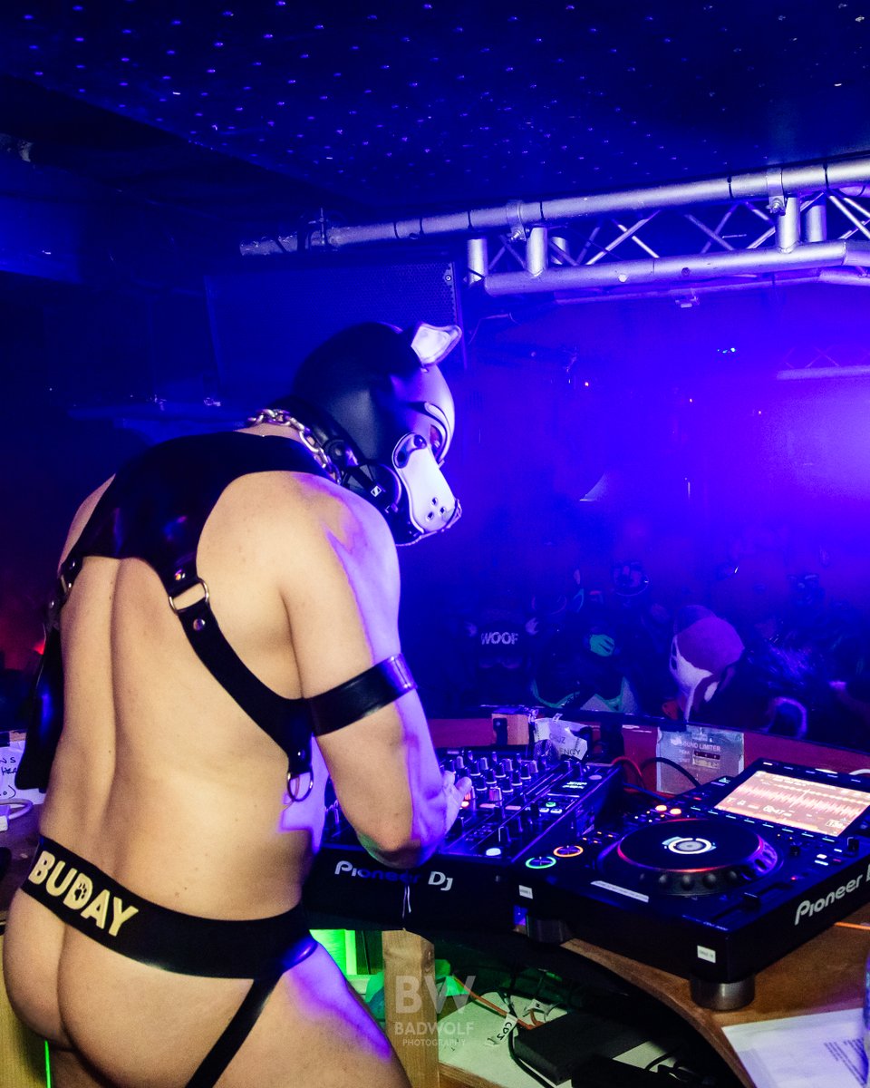 Pup Buday tweet media