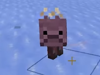 este es Mierdon, tiene inmunodeficiencia y leishmania, y debido a que fue abusado durante los primeros 10 años de su vida y a su demencia, no puede acercarse a niños ni a abuelos y necesita comer 7 veces al día