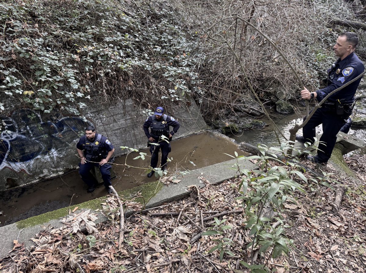 HaywardPD tweet media