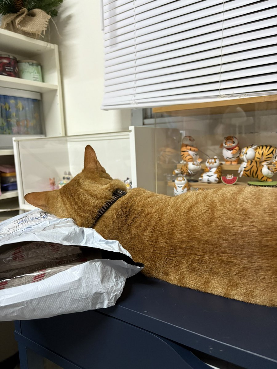 อยากหอมหัววันละ 100 รอบ