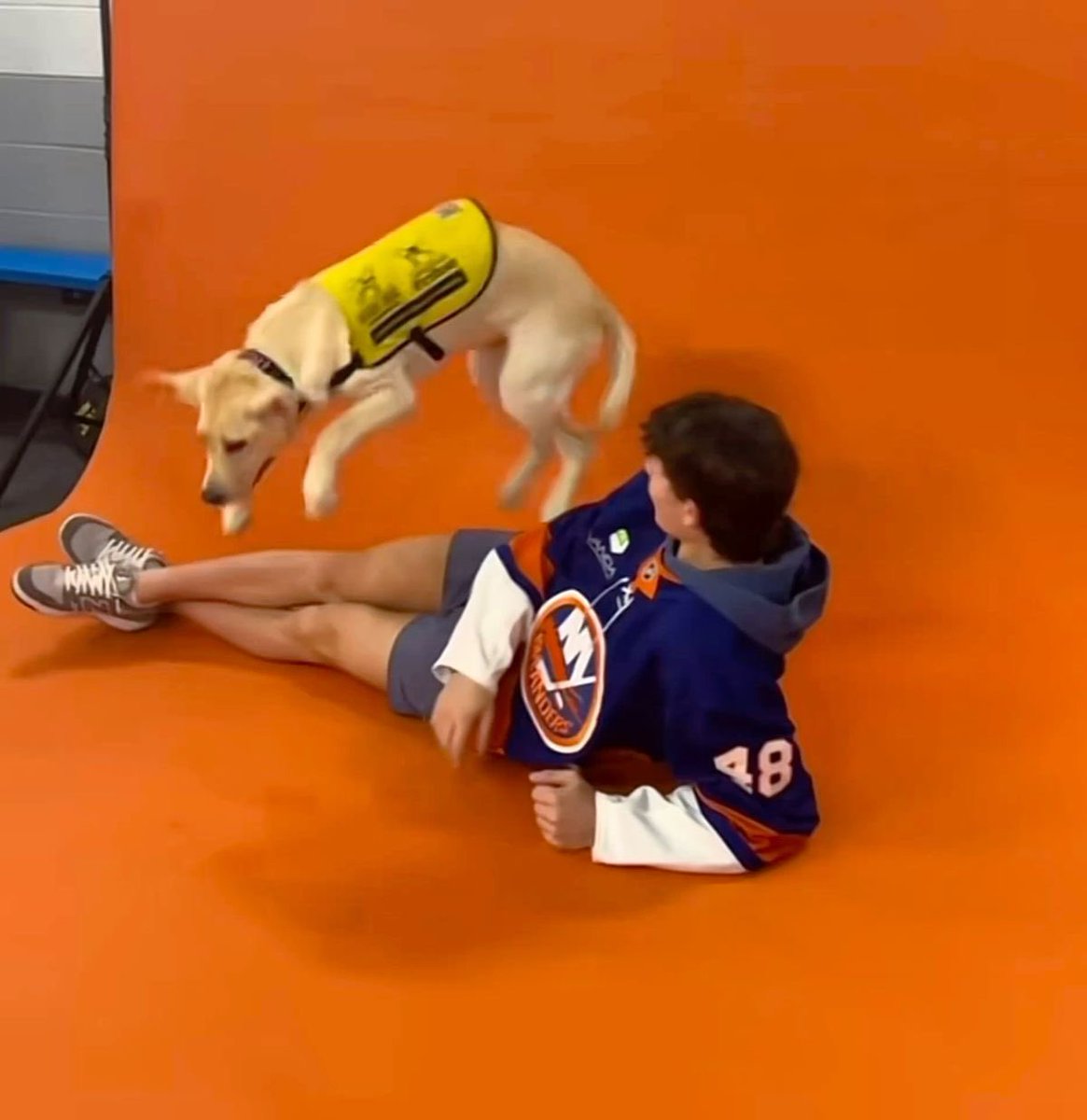 dailyschaef's tweet image. 