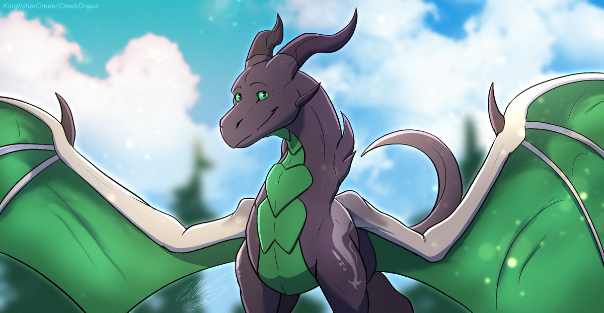 KingfisherCreek tweet media