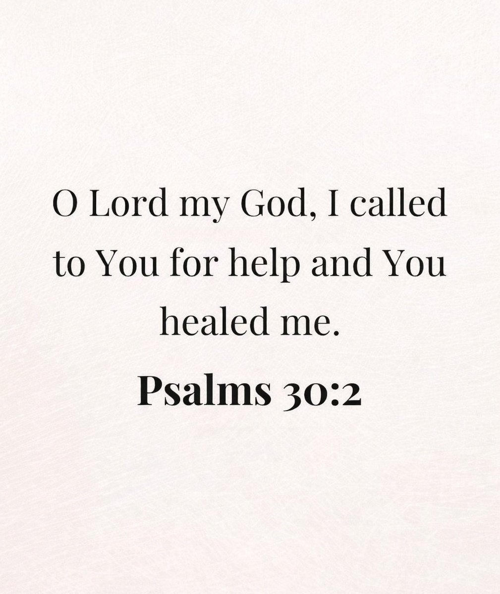 The Bible tweet media