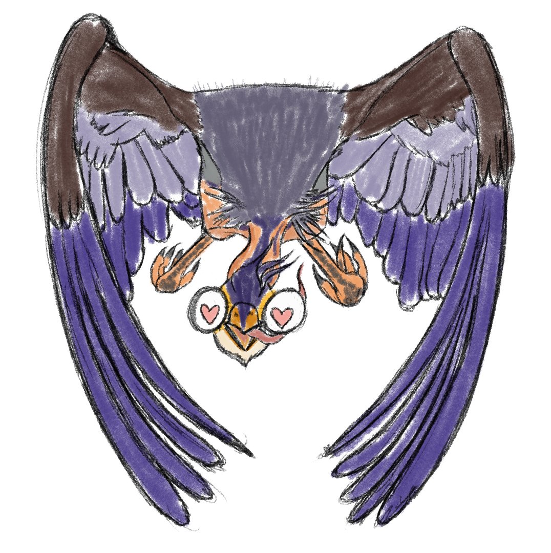 Ferrant Morteau tweet media