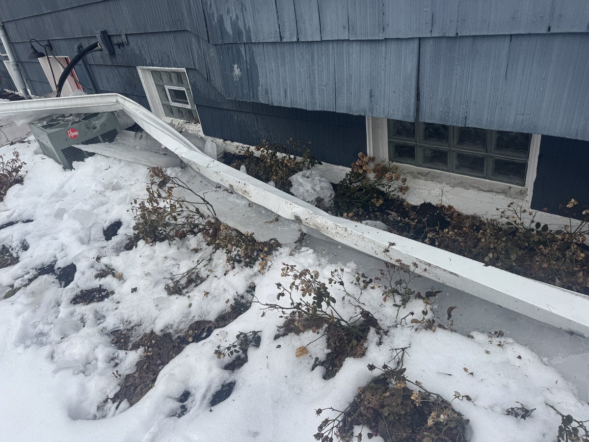 Rachel Barnhart tweet media