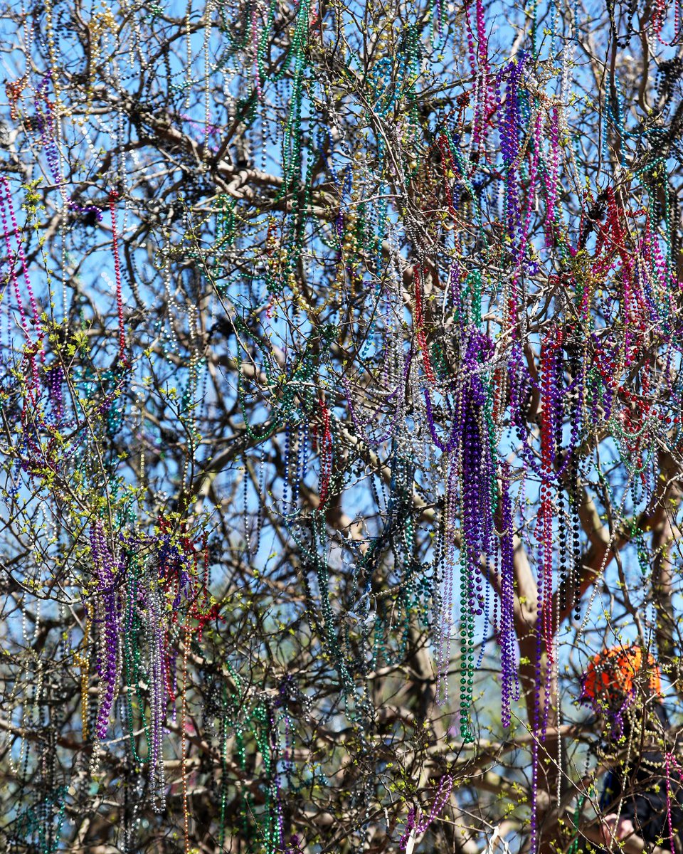 Sweet Home Alabama tweet media