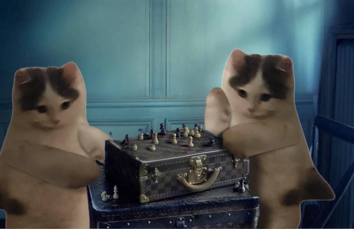 michi (@michionsolana) on Twitter photo 