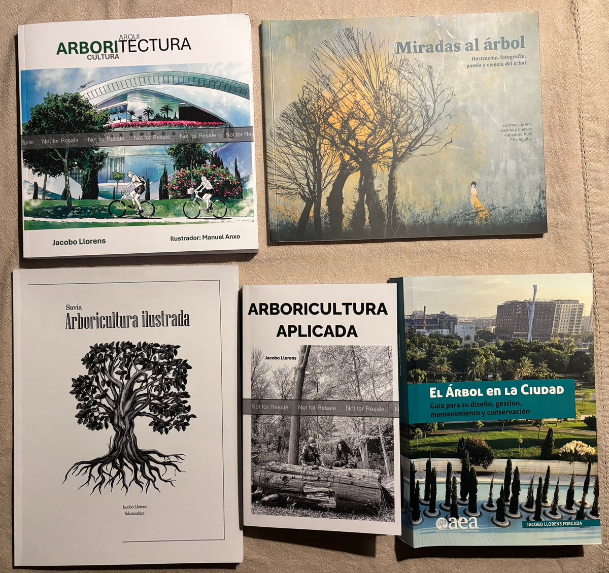 Jacobo Llorens_Arbolista_Treerider tweet media