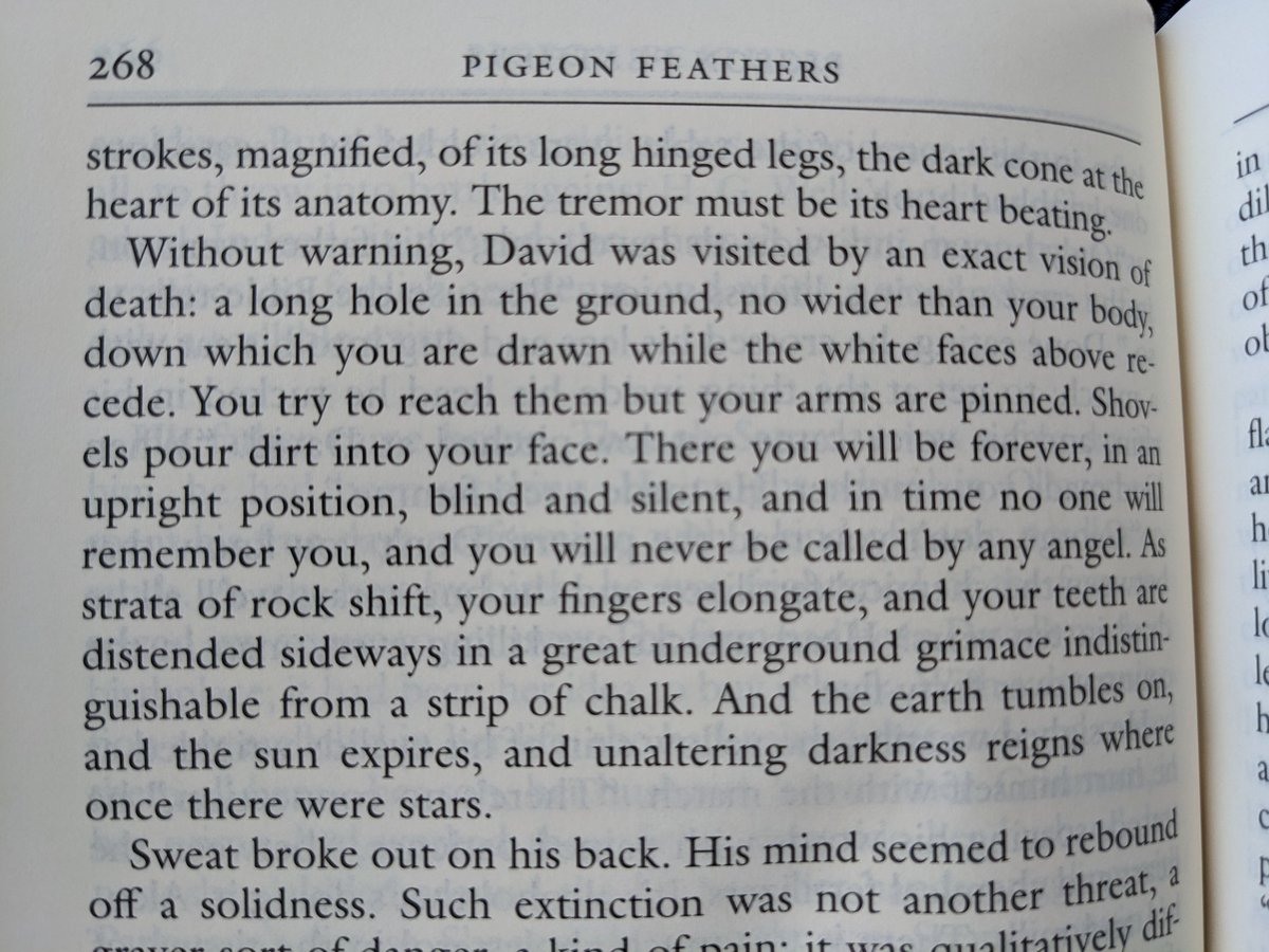 Joshua Heppurn tweet media