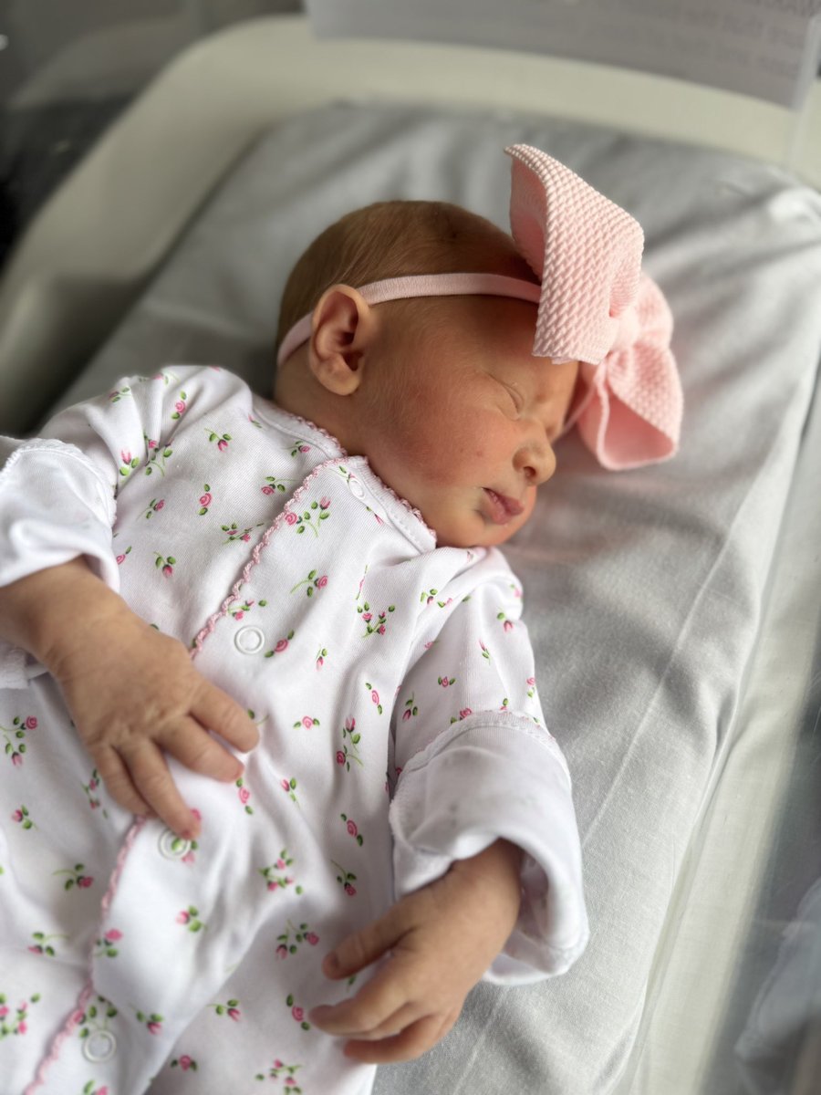 Jared Sandler tweet media