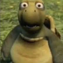 スタクス tweet media