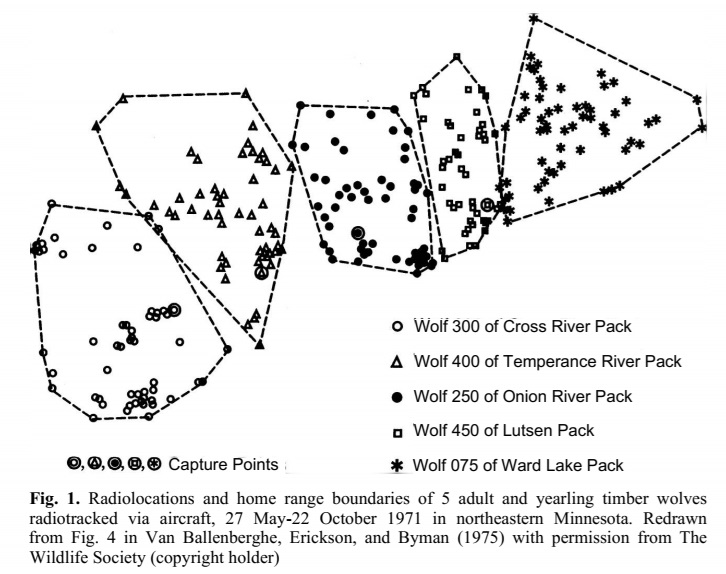 Este modelo matemático coincide con las observaciones de campo. Entender estas fronteras invisibles es clave para la conservación y la coexistencia de las especies en su estado salvaje.
