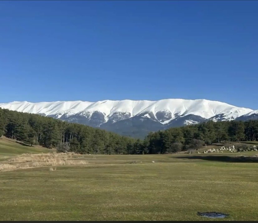 Ama yol nasıl güzel….🫶