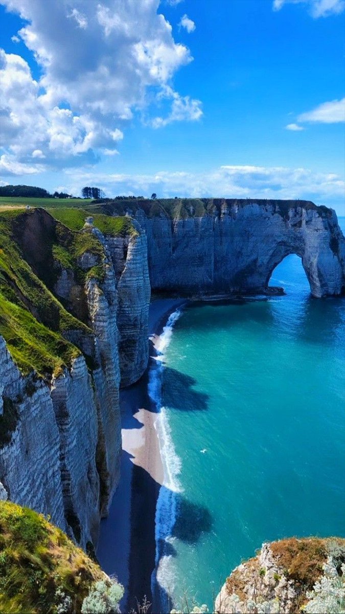 🌞 Sophie S 🌴 tweet media