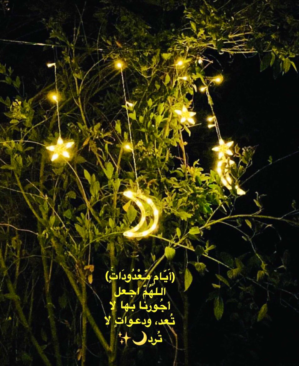 رابِـــــيـة tweet media