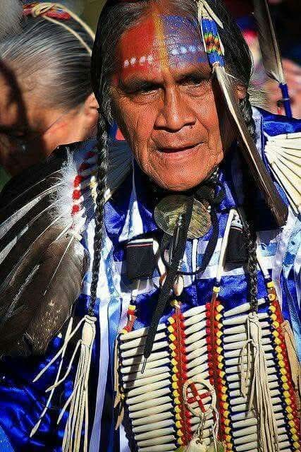 Native American History tweet media