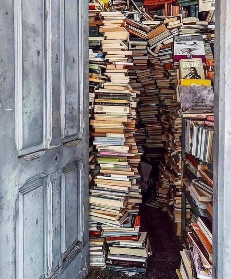 Books and Wine tweet media