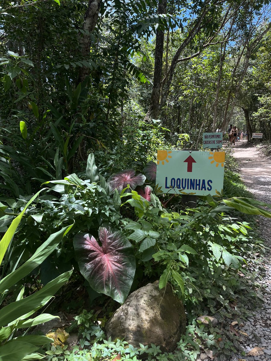 eu servindo na cachoeira loquinhas