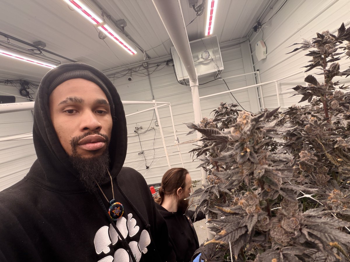 Coldroomdrip tweet media