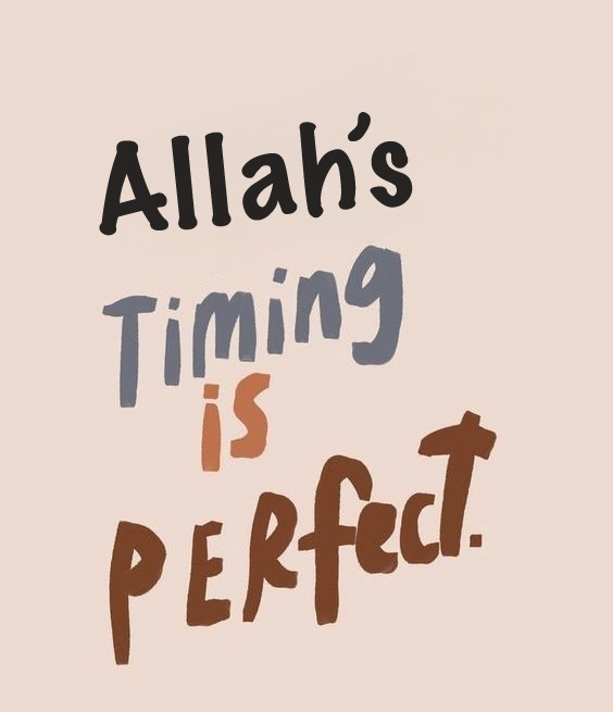 Allah Islam Quran (@allahgreatquran) on Twitter photo 