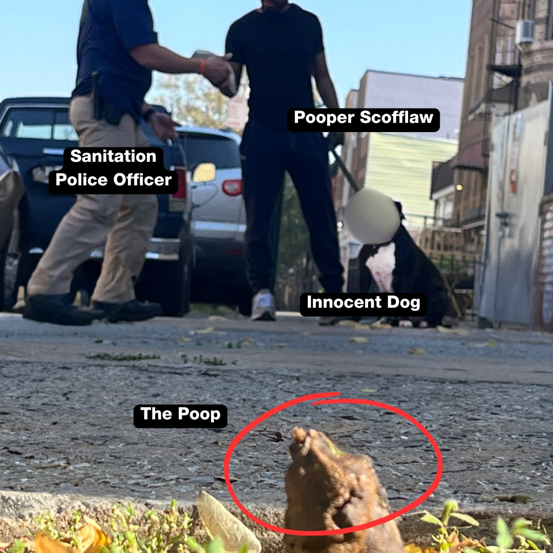 NYCSanitation's tweet photo. Don’t know WHY we need to remind you, but apparently, we do. 

Pick up your dog’s poop.

Jeez. https://t.co/yWjW0tQmLQ