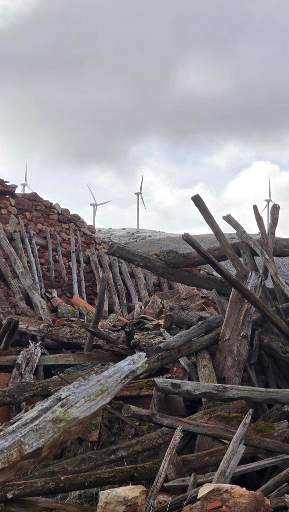 OBSERVATORIO SOSTENIBILIDAD 🌱 (desde 2005) tweet media