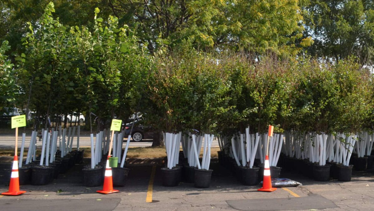 Tree Trust tweet media