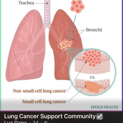 Wire Art by Nickie tweet media