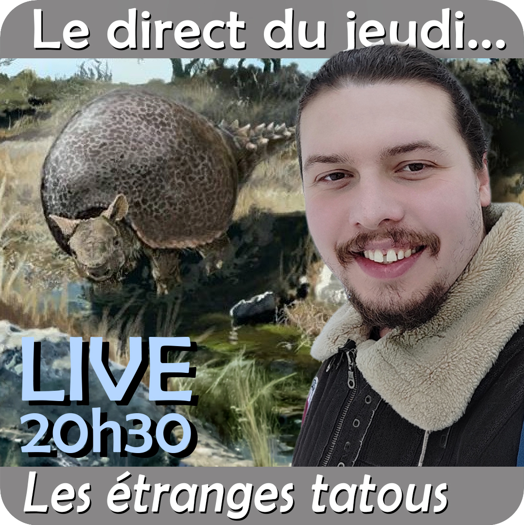 Simplex Paléo tweet media