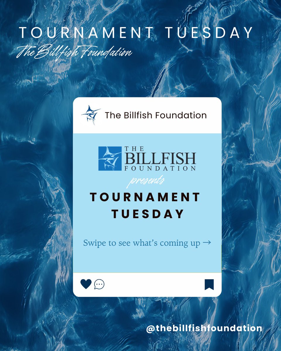 The Billfish Foundation tweet media