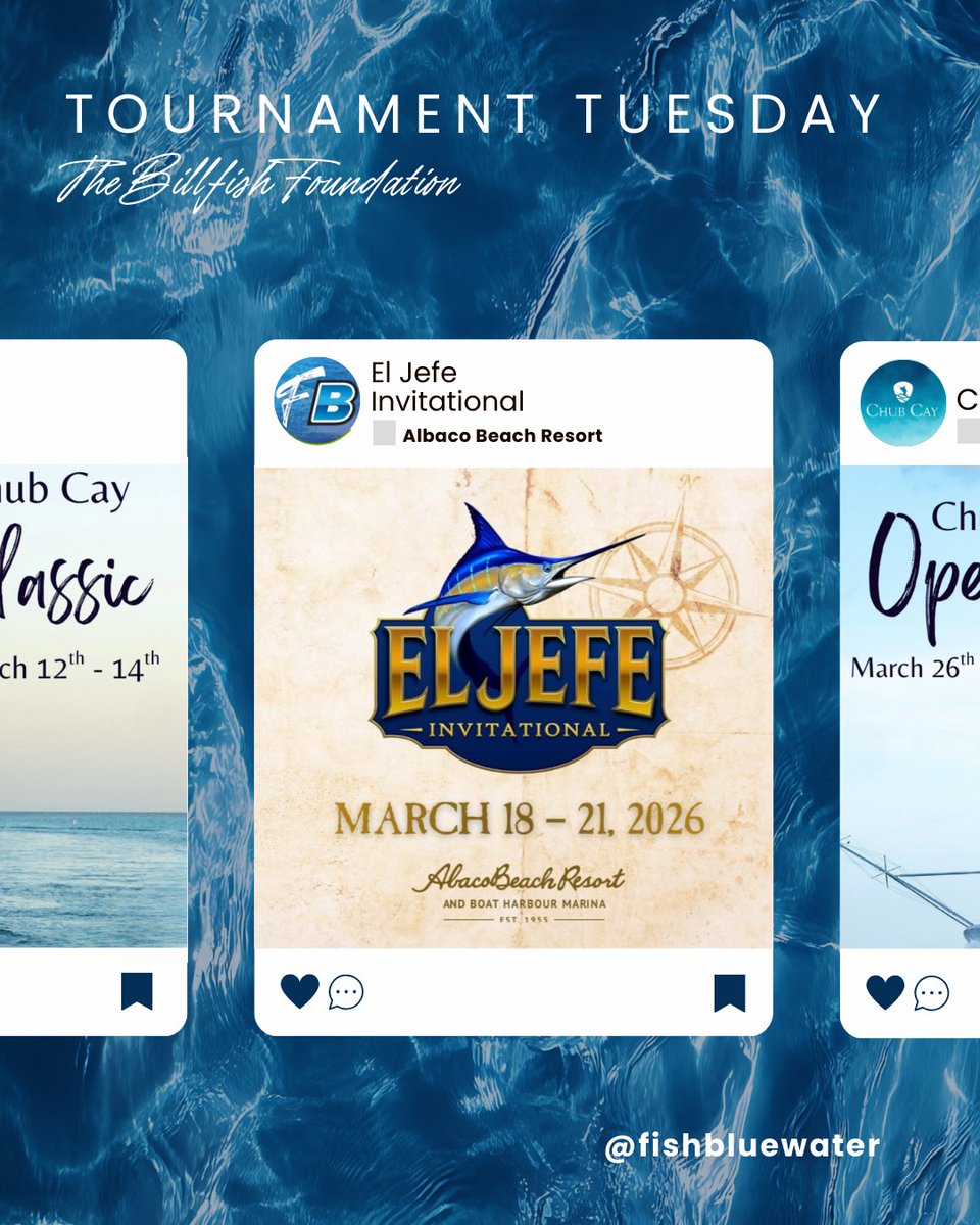 The Billfish Foundation tweet media