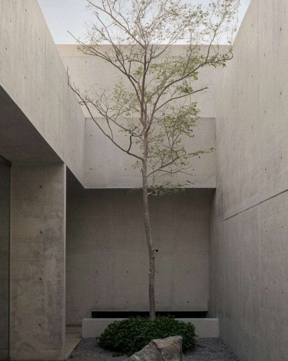 Repost: <a href="/dezeen/">Dezeen</a>: "Mexican architecture practice HW Studio (@hwstudioarq) has created a concrete house on the Pacific coast of Puerto Vallarta, Mexico, with a semi-elliptical wall that frames multiple levels of contemplative courtyards".