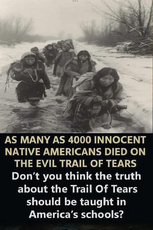 Native American History tweet media