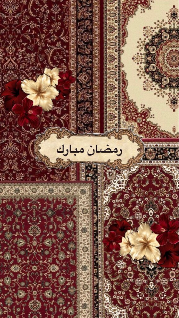 MaaraTweets's tweet photo. https://t.co/iqQGqbJQMn