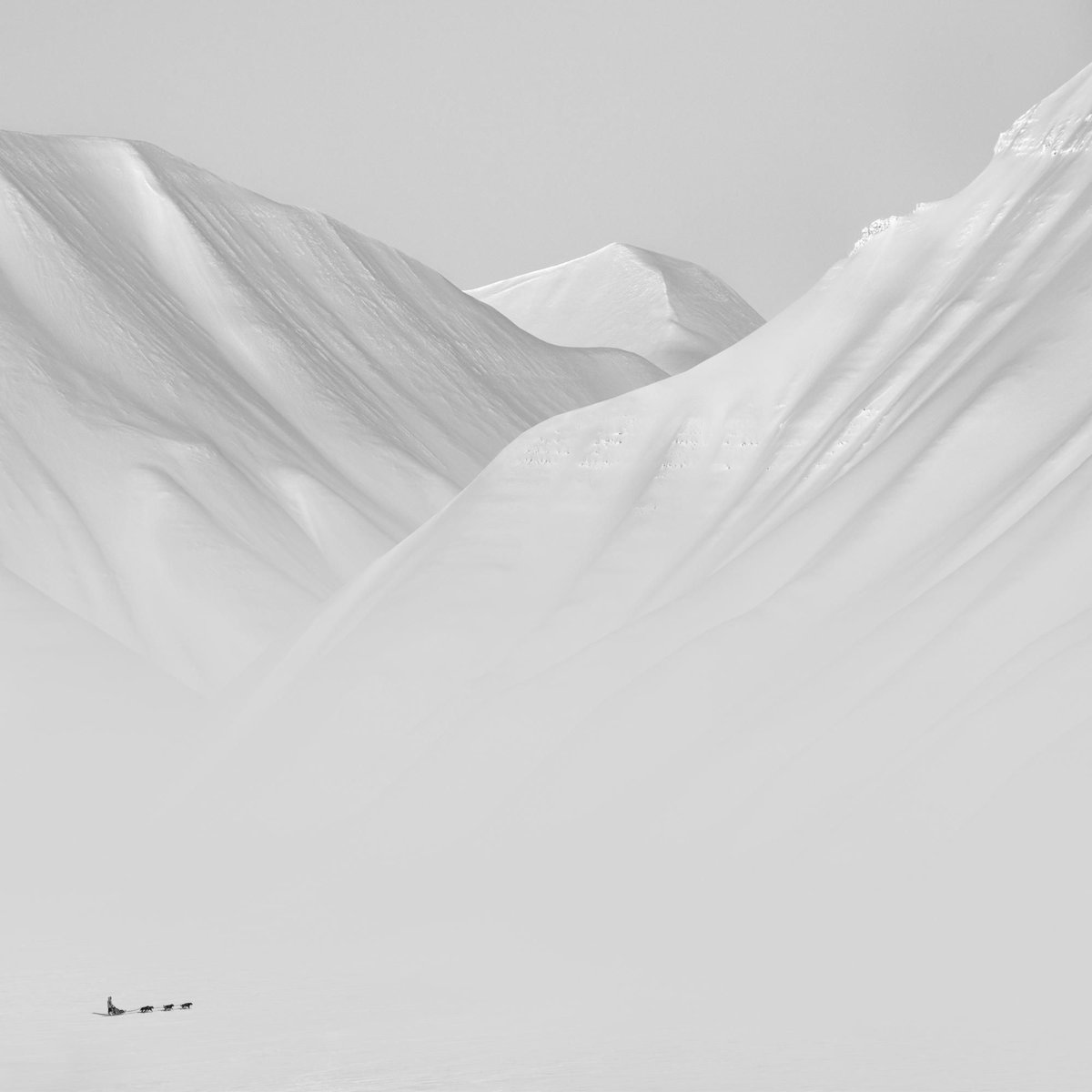 Winter solitude—
In a world of one color
The sound of wind.

~ Bashō // #Minimalist #Photography by Patrick Ems / visual-decadence.com #haiku #vssnature