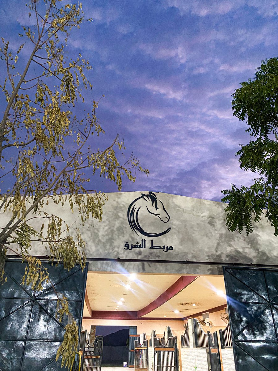 nus22a's tweet photo. متطفات مربط الشرق ✨❣️ https://t.co/30kPiujHxS