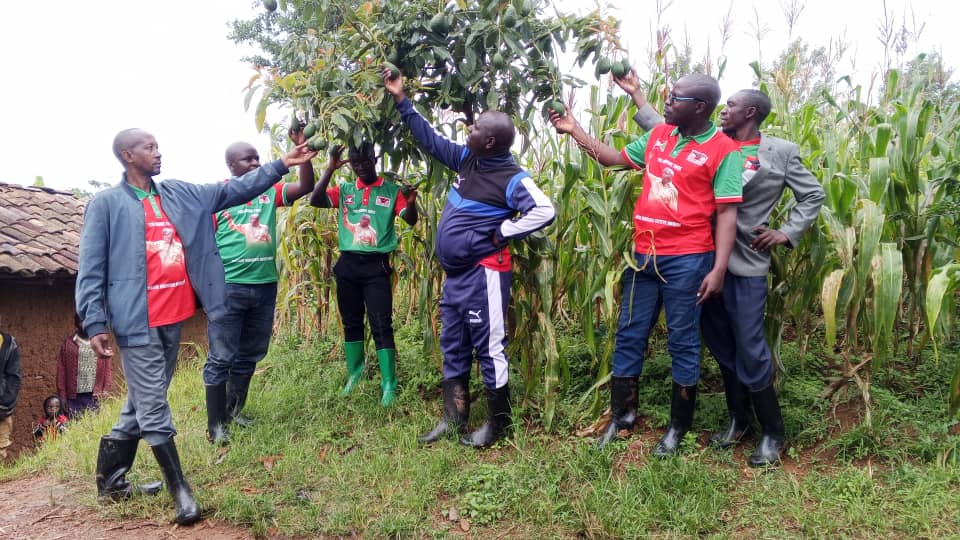 CnddFddButanyer's tweet image. Ubuserukizi bw'umugambwe #CnddFdd muri komine #Kayanza. Bagendeye umurimyi wa karorero wigiterwa c'ivoka wo kumutumba #Rusambi muri zone #Jene .Akaba amaze gutera 1627avocats . Izibanguriye akaba ari 1106avocats.Bakaba bamukeje baca bamusaba. Kwigisha  abataramenya akamaro kivoka