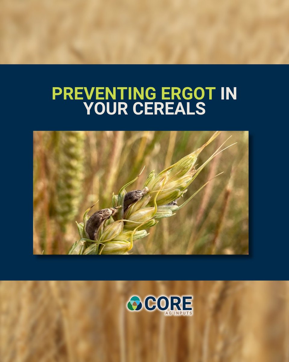 Core Ag Inputs- Warner Ltd tweet media