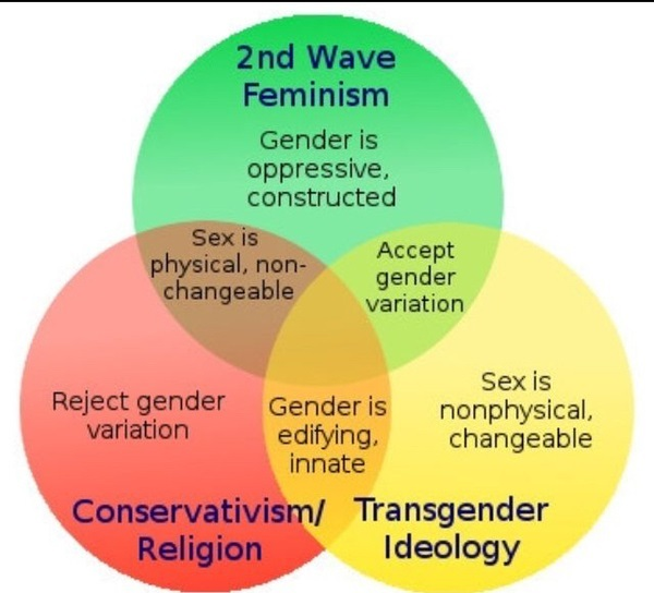 Lisa Selin Davis tweet media