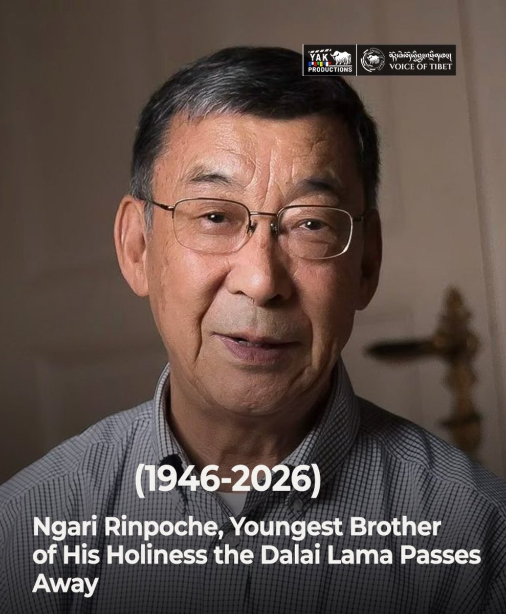 Foundation for Non-violent Alternatives (FNVA) tweet media