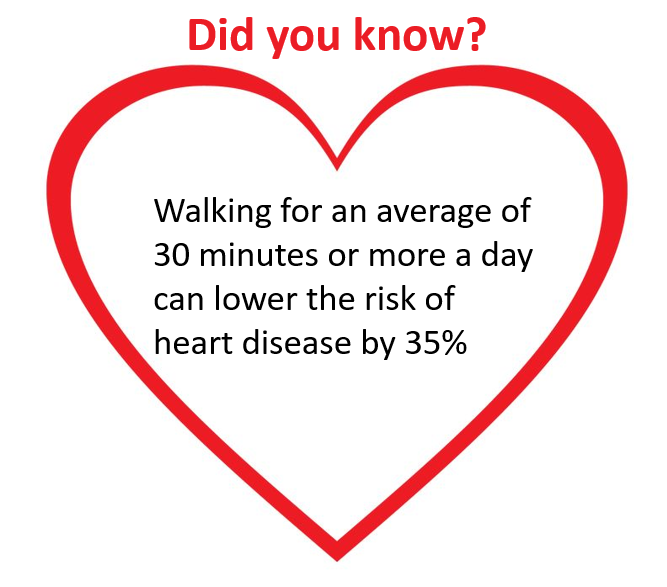 BorderRAC tweet media