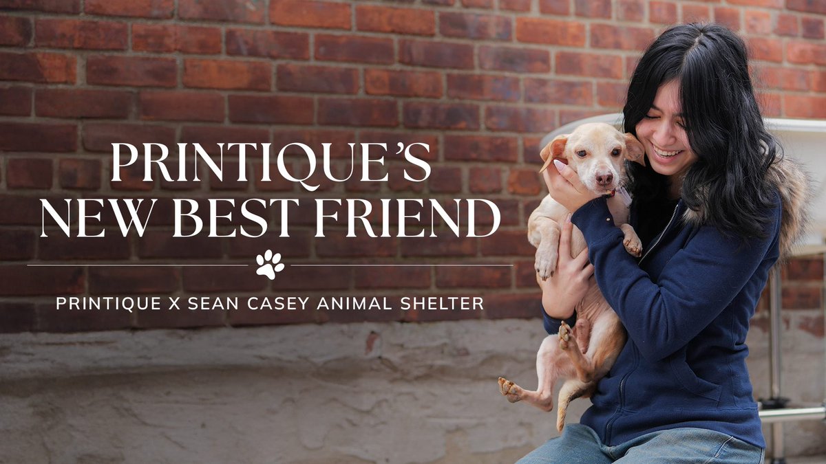 Printique by Adorama tweet media