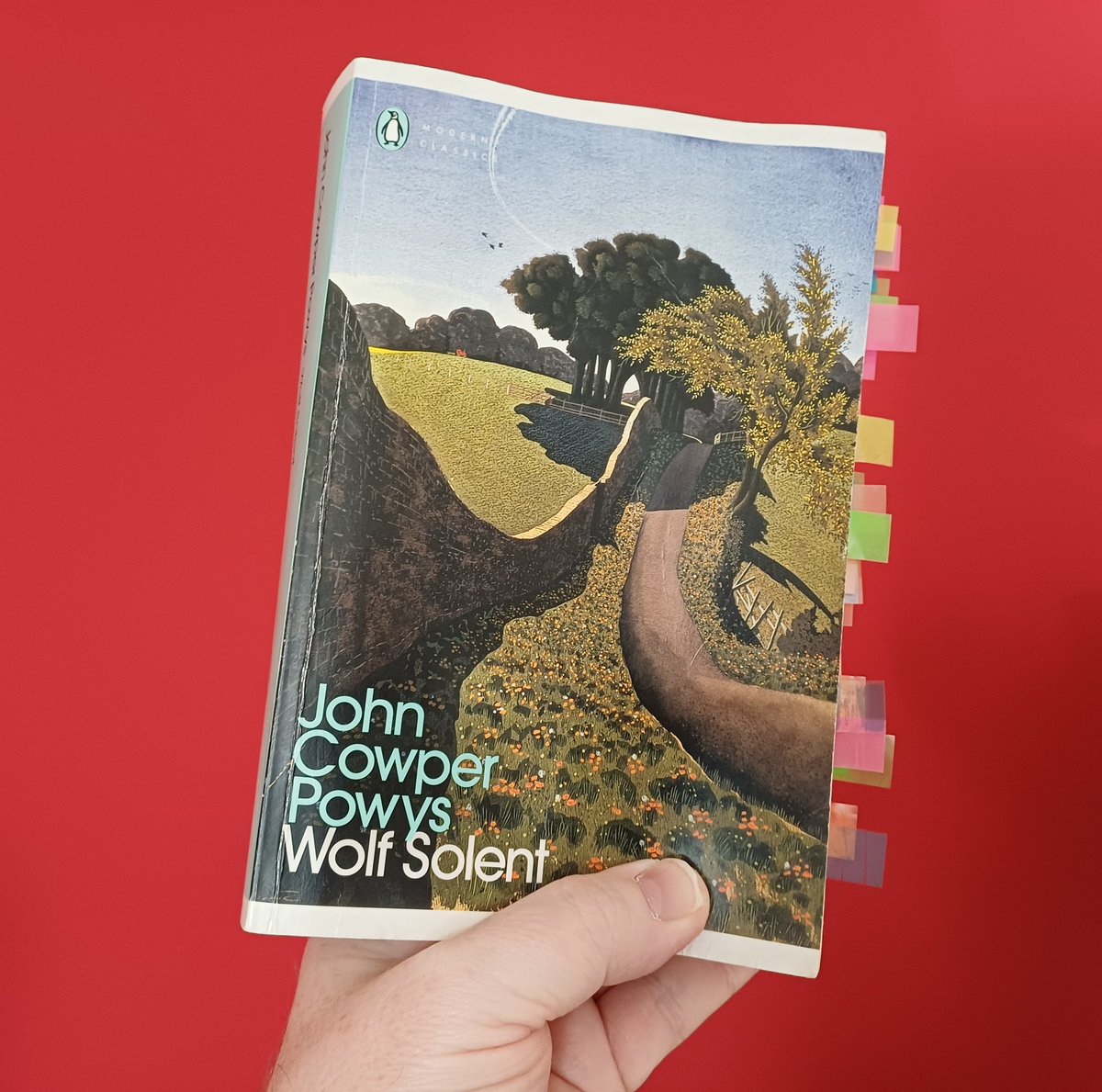 dutchPaul's tweet photo. Quite the book. "Wolf Solent" by John Cowper Powys. Took me a little longer than usual but magical, earthy with lessons for the soul. A liberation of a true and particular sense of place. 📚 https://t.co/8rfnGuT6yM