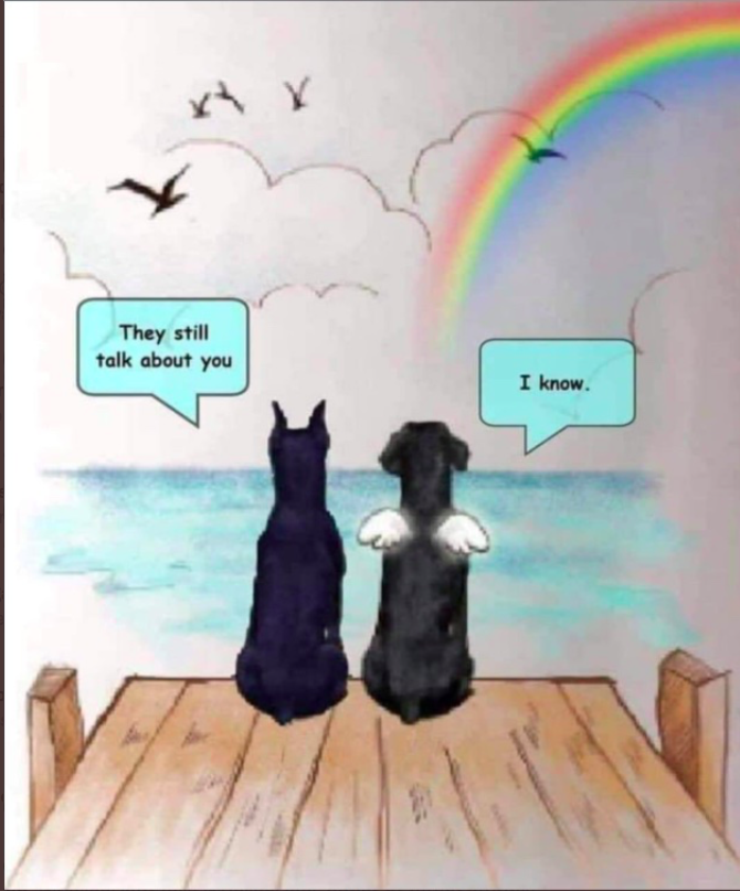 Angela Knisely-Marpole Insta - @angela1001 tweet media