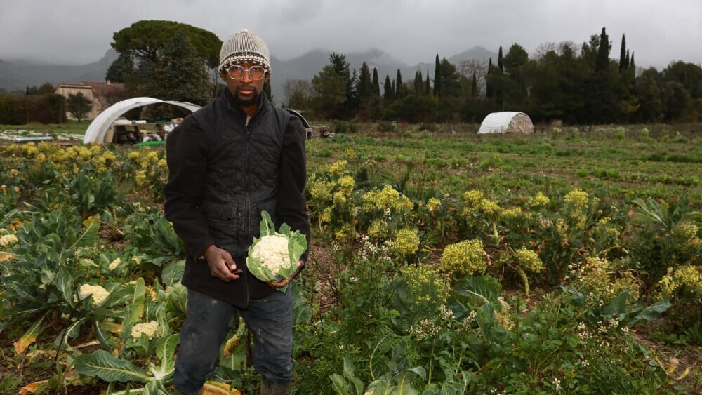 À la ferme du Fauge d’Aubagne, trois agriculteurs se partagent un terrain grâce à Terre de liens
👉 l.laprovence.com/Uvmf