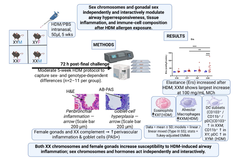 AJP-Lung Cellular and Molecular Physiology tweet media