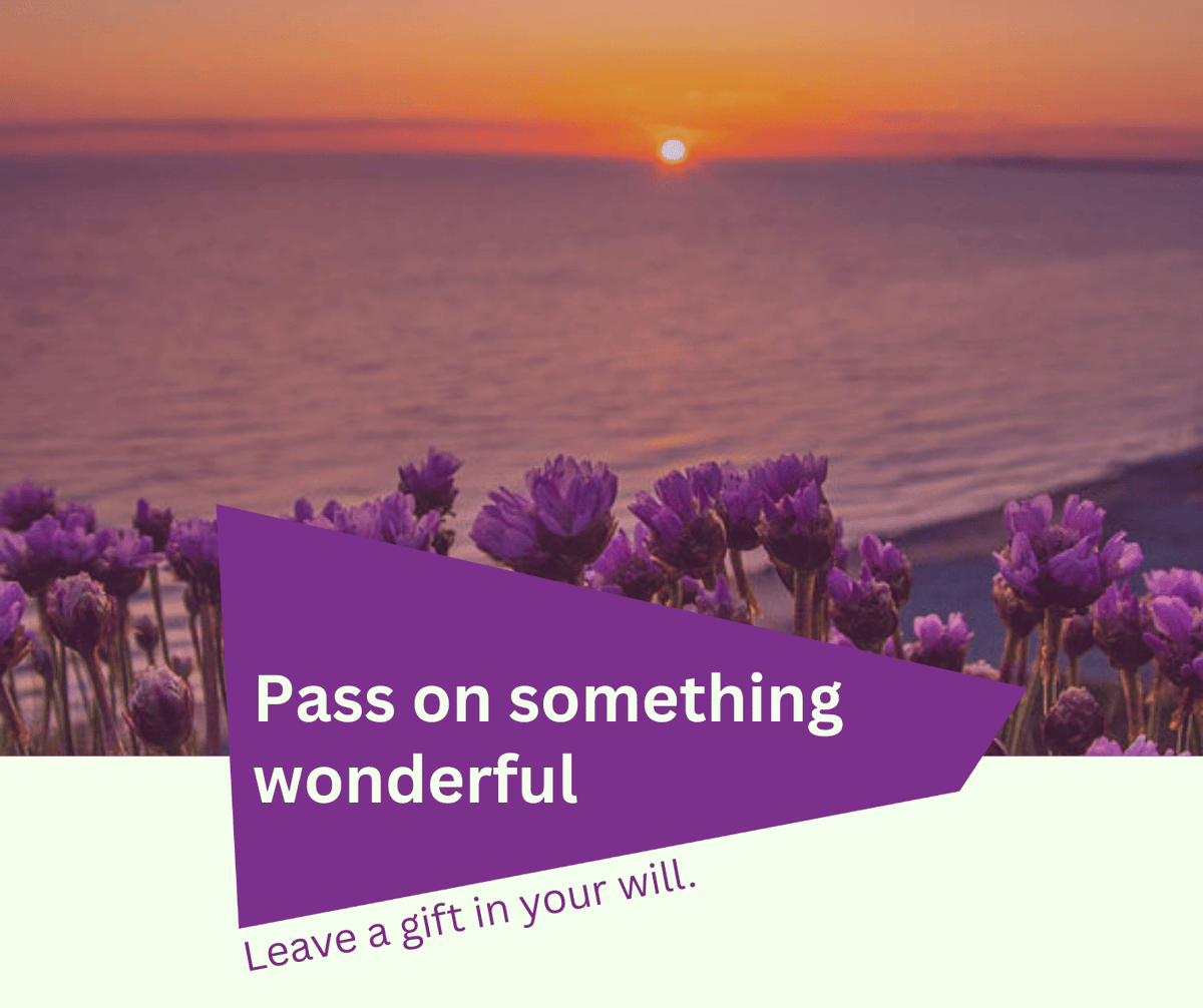 Pancreatic Cancer Action tweet media