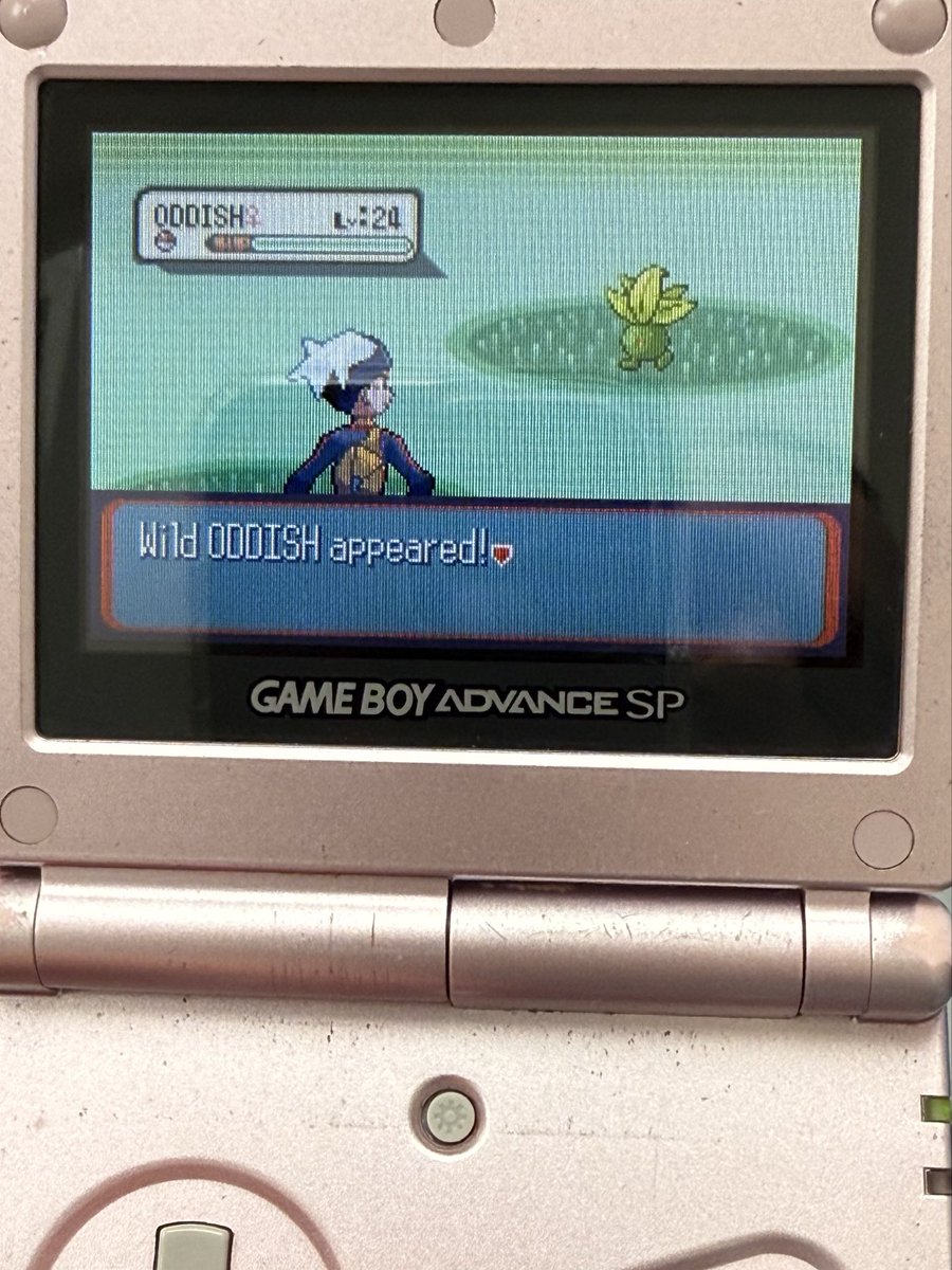 CraigKleinpeter's tweet photo. Shiny Oddish in Sapphire after 6974 random encounters! Phase 1 of my hunt for shiny Tropius for my Sapphire nostalgia team quest. Shout out to @TheAbsol for streaming this hunt which motivated me to get back to this hunt after over a year. 
1st 1/8192 shiny for me of 2026! H https://t.co/Dr1McqMCZf